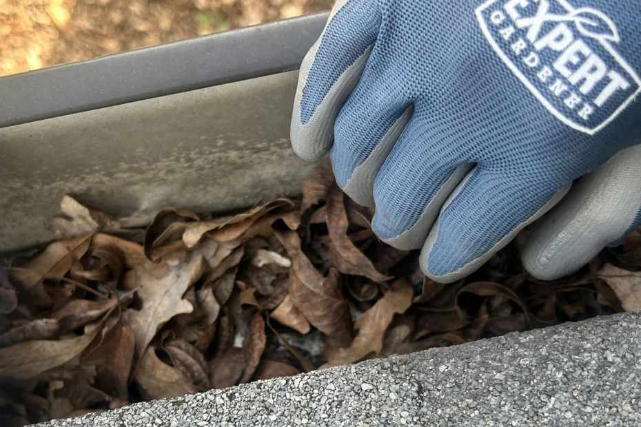 Lawrence Gutter Cleaning